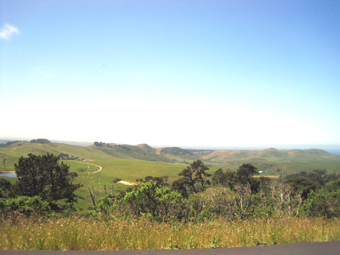 Towards Pacific way to Tomales Bay Park